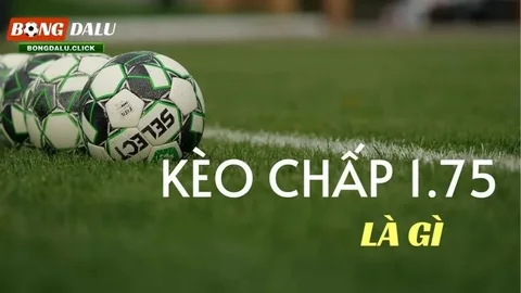 Kèo chấp 1.75 là gì? Cách tính thắng thua