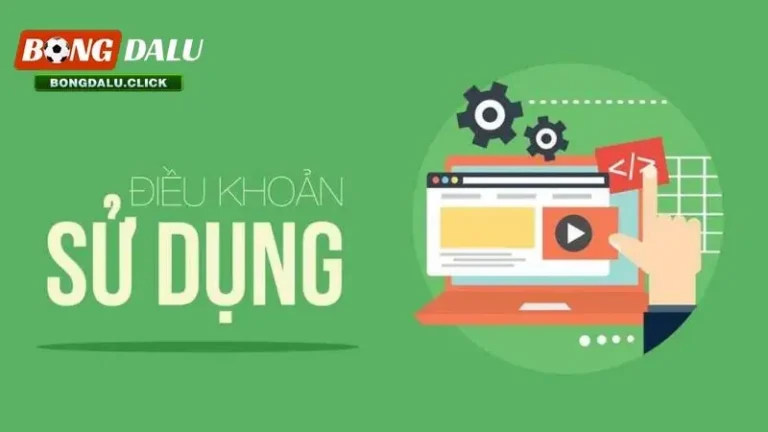 Điều khoản sử dụng về truy cập và sử dụng dữ liệu tại bongdalu